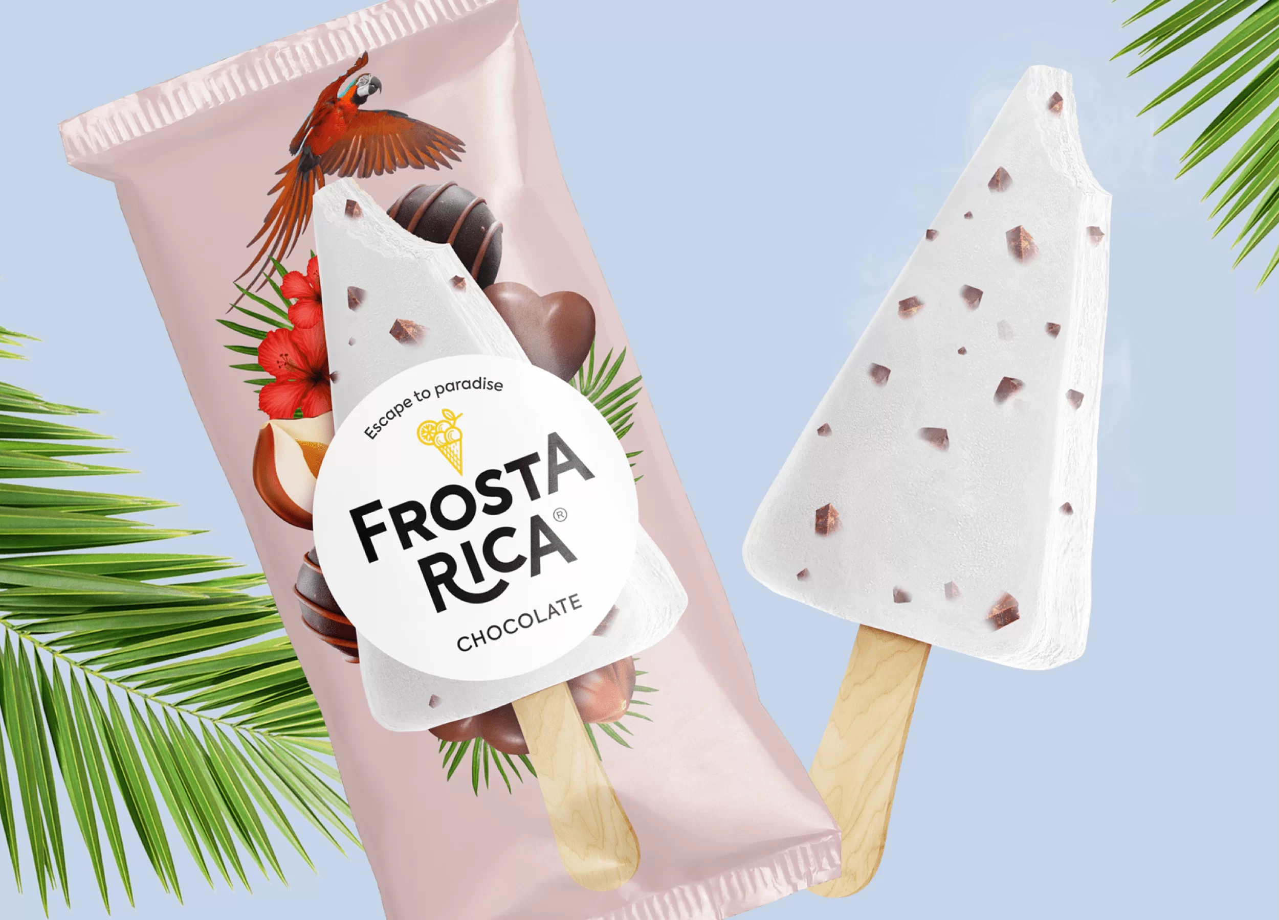 Новый бренд мороженого | FROSTA RICA