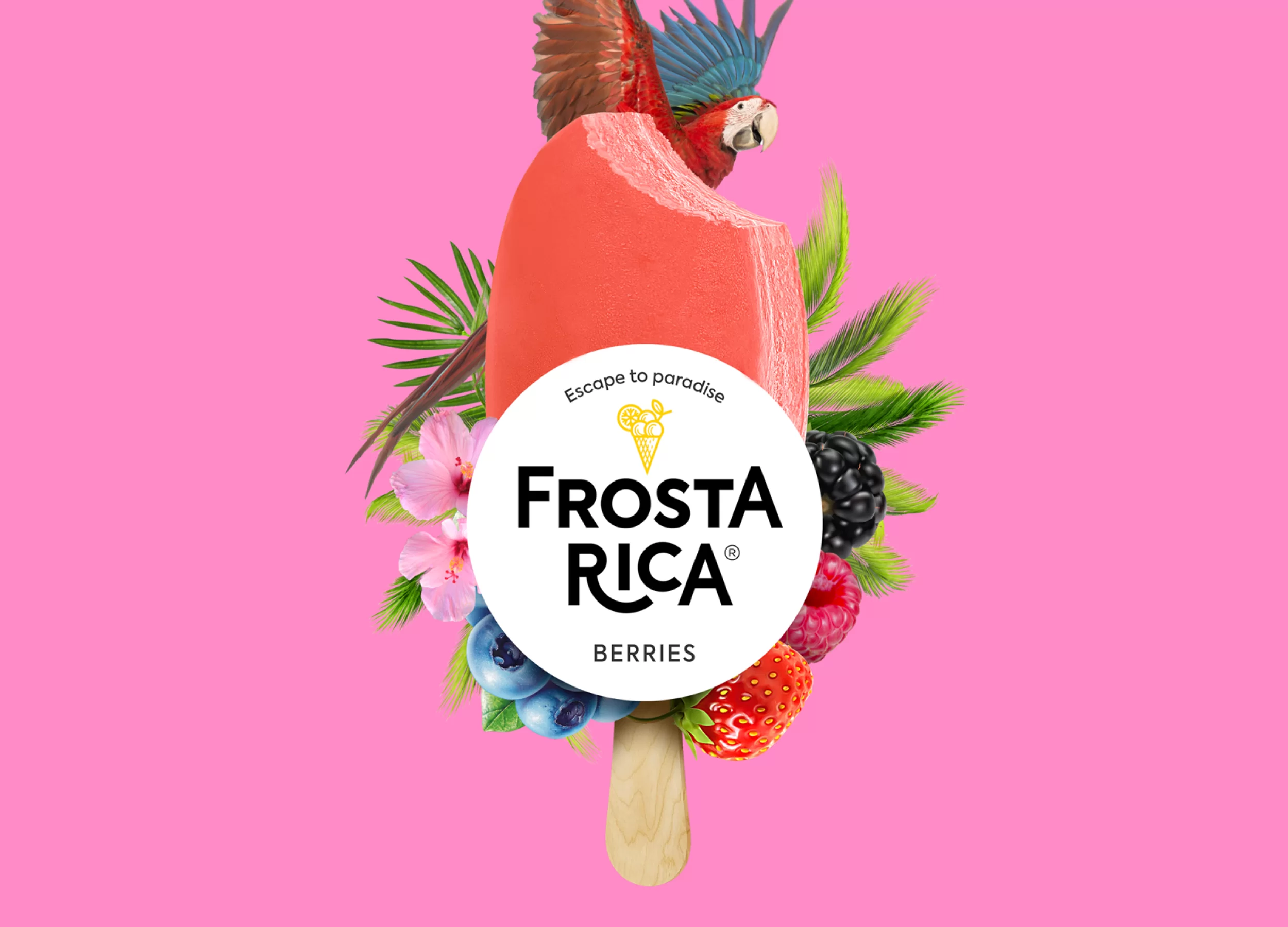 Новый бренд мороженого | FROSTA RICA