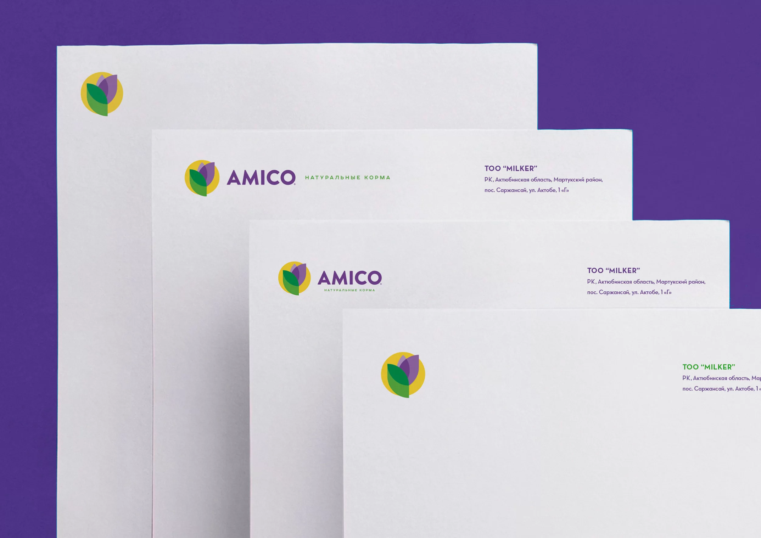 Разработка бренда корма | AMICO