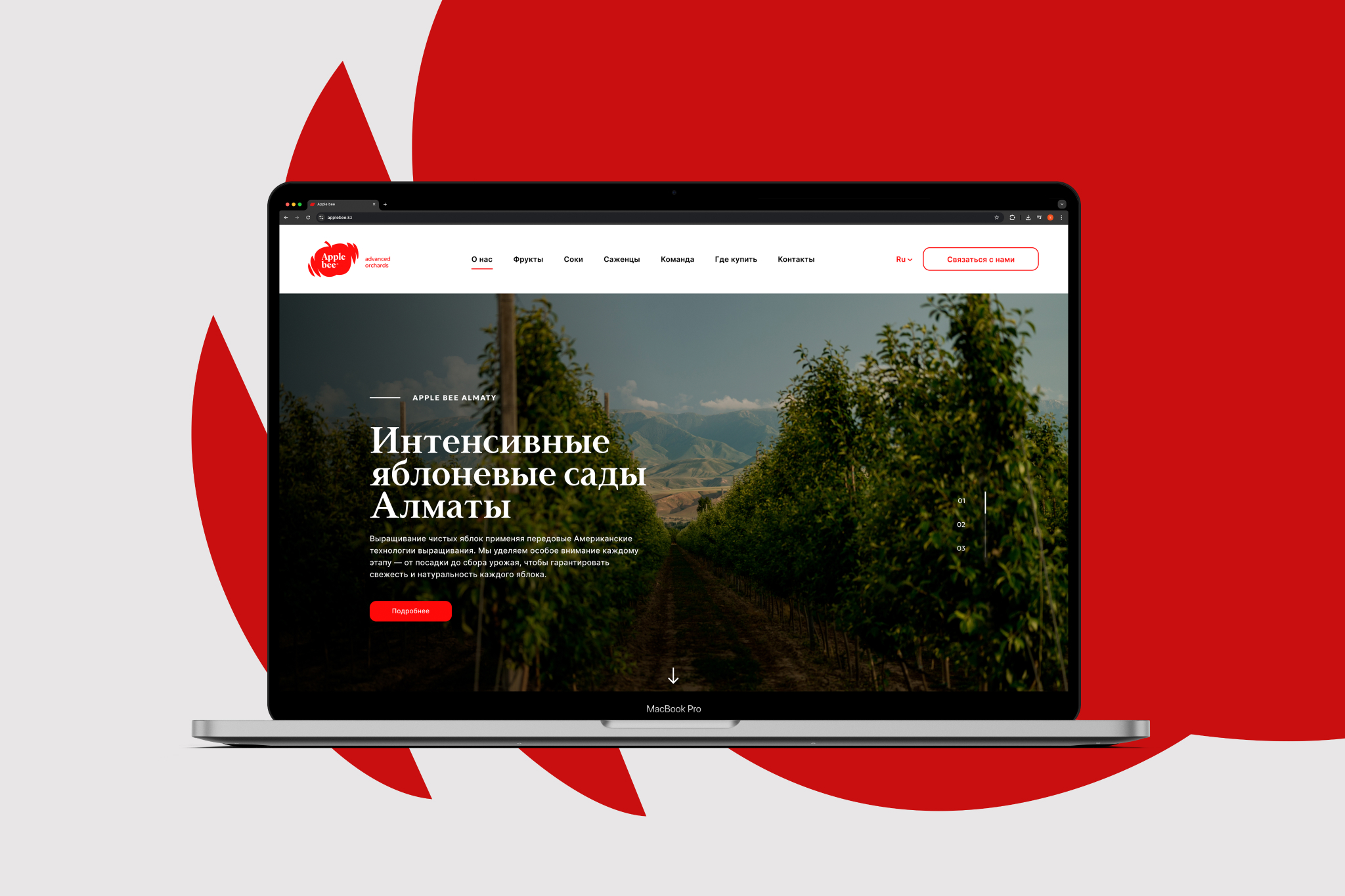 Ребрендинг яблочных садов  | APPLE BEE