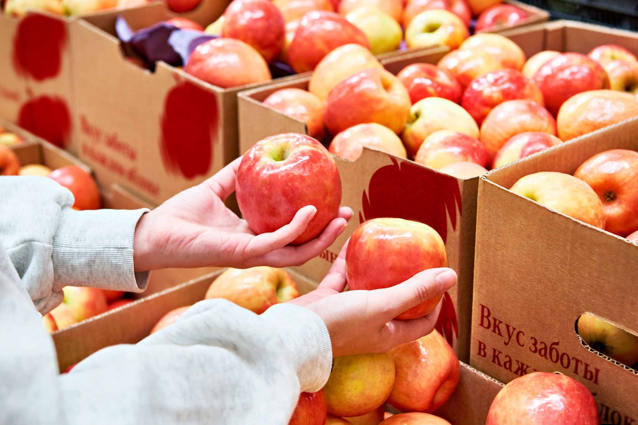 Ребрендинг яблочных садов  | APPLE BEE