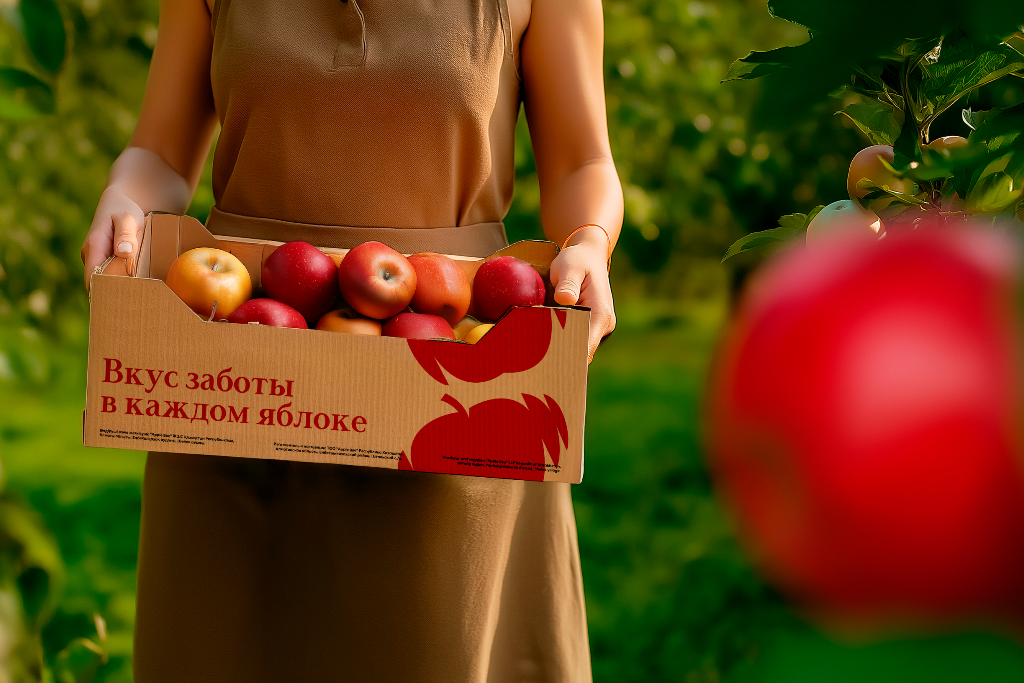 Ребрендинг яблочных садов  | APPLE BEE