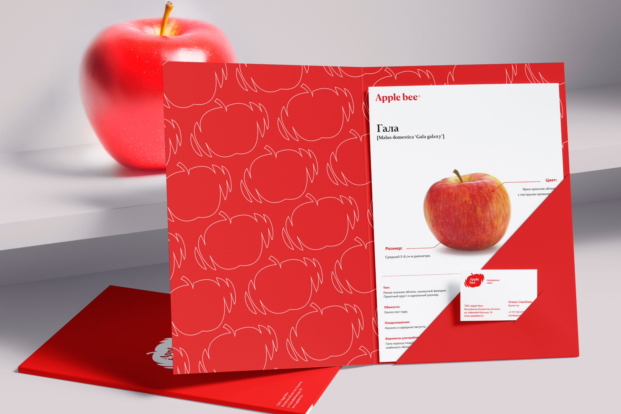 Ребрендинг яблочных садов  | APPLE BEE